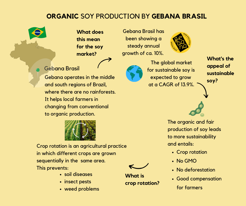 Sustainable Soy: Balancing Demand and Environmental Responsibility